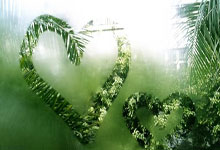 GOOG Stock: The Vision Beyond the Numbers