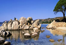 Zcash: Its Groundbreaking Vision, Price Predictions, and Why It Matters – What Reddit is Saying